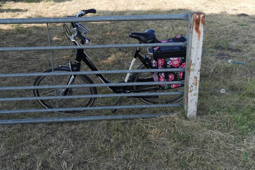 Fietsster schrikt van bestelbus en botst tegen lantarenpaal