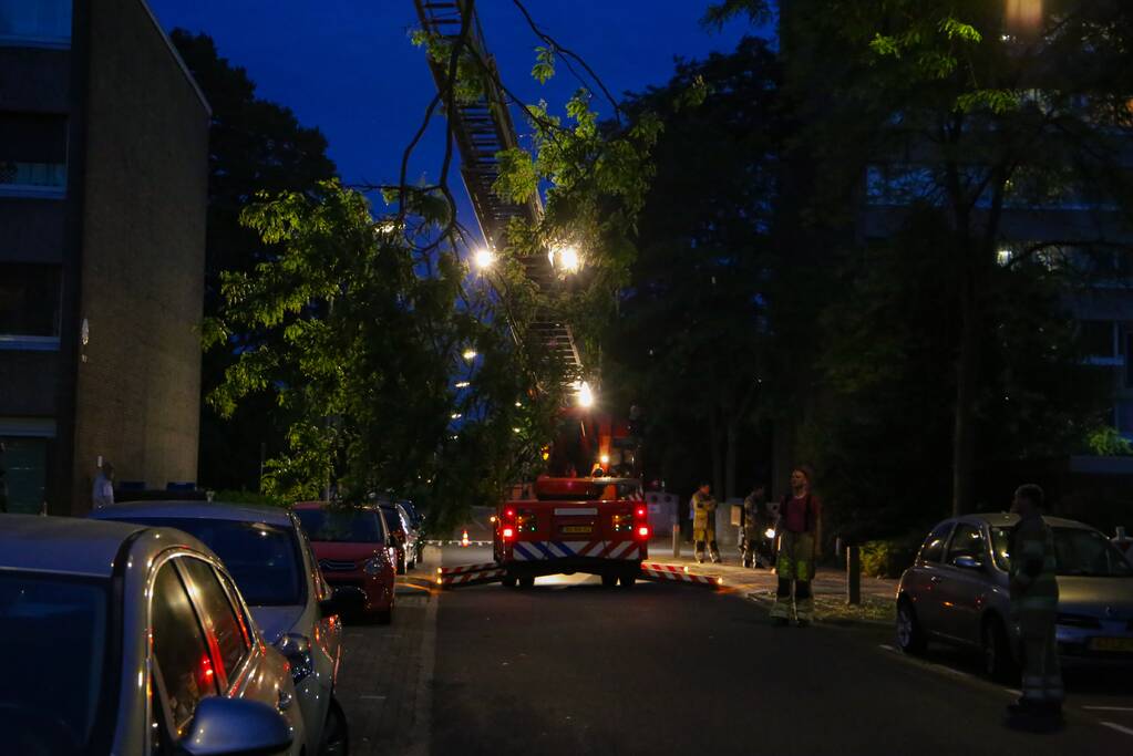 Brandweer verwijdert grote tak van boom