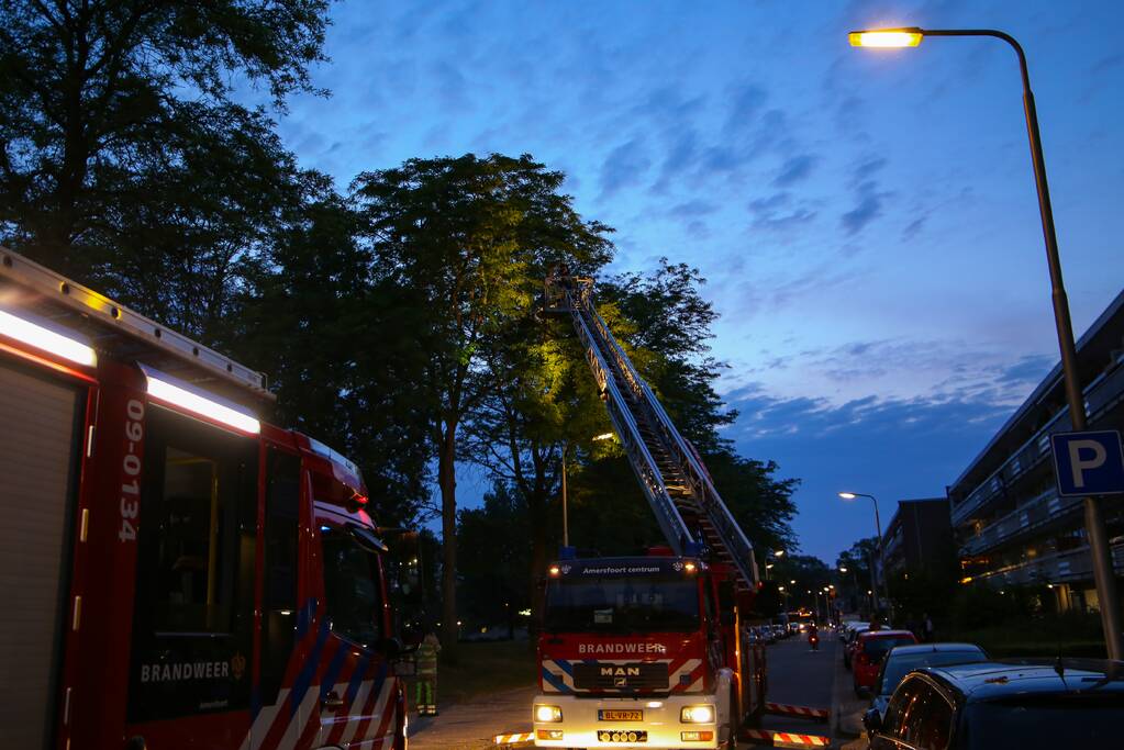 Brandweer verwijdert grote tak van boom