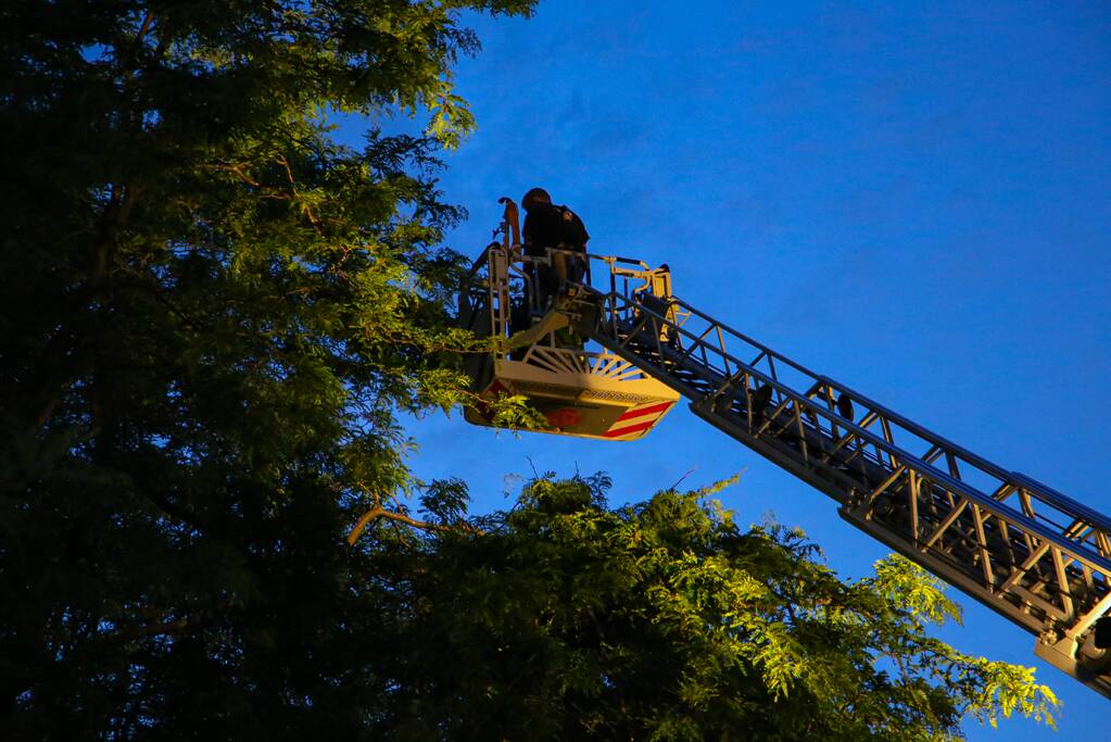 Brandweer verwijdert grote tak van boom