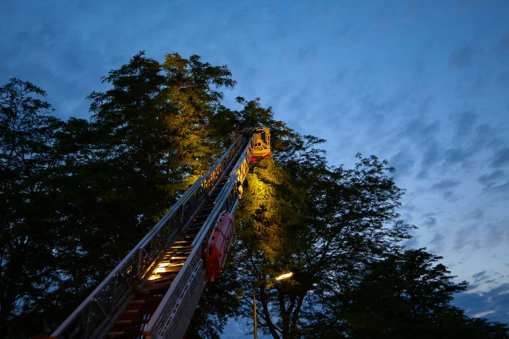 Brandweer verwijdert grote tak van boom