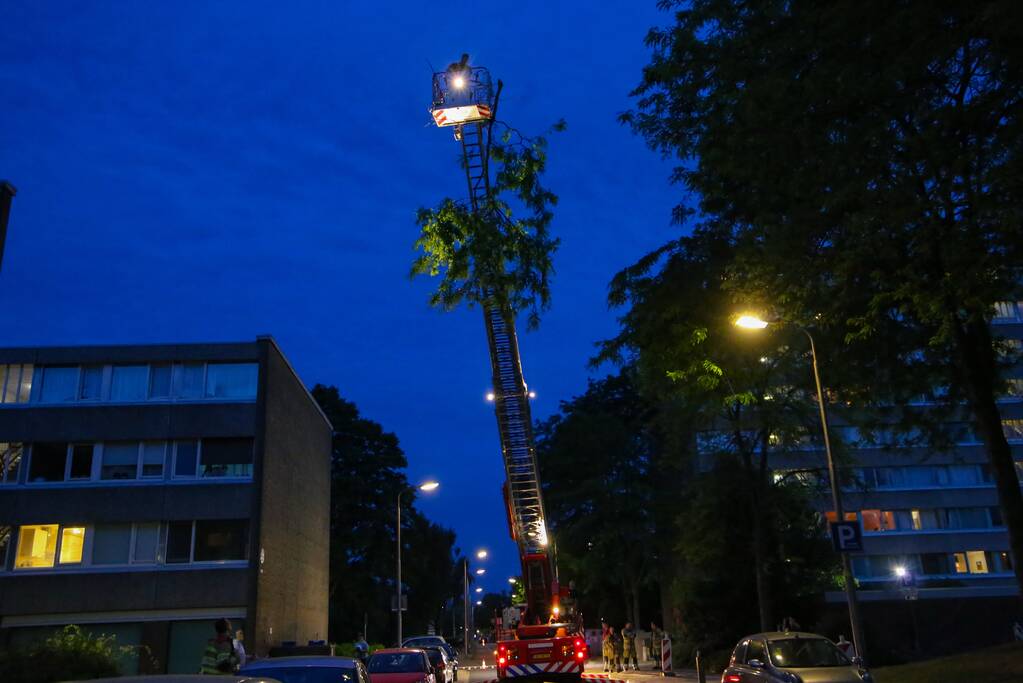Brandweer verwijdert grote tak van boom