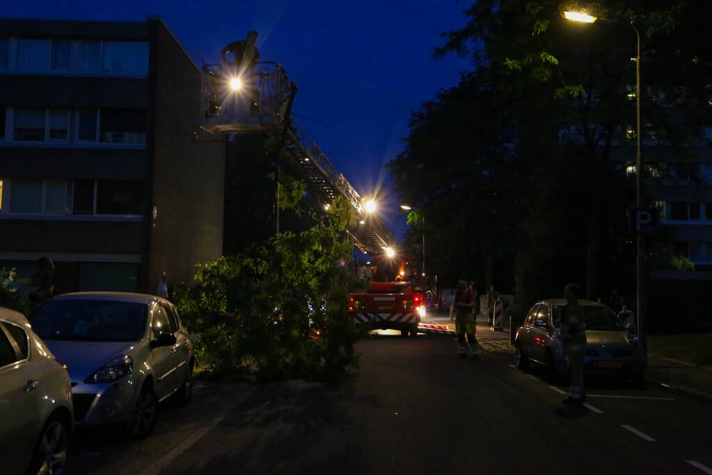 Brandweer verwijdert grote tak van boom