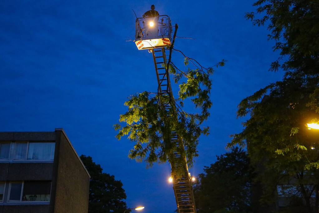 Brandweer verwijdert grote tak van boom