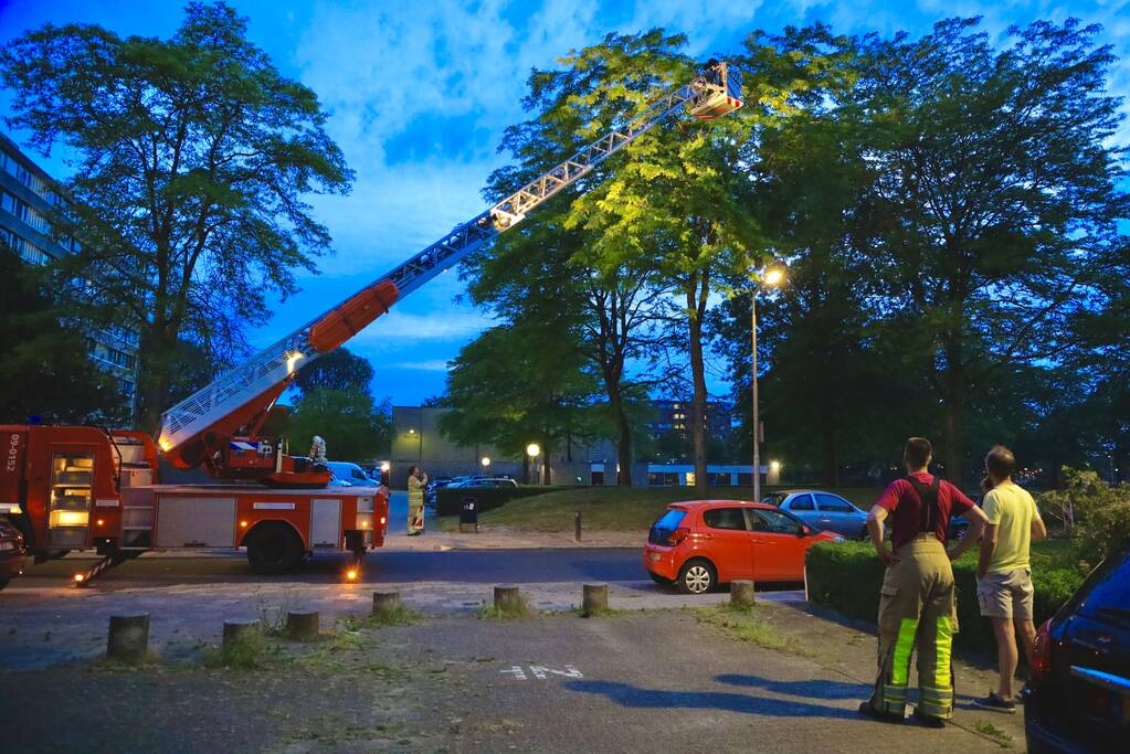 Brandweer verwijdert grote tak van boom