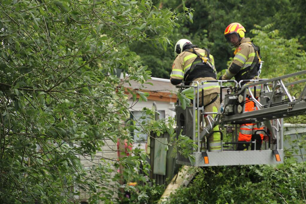 Brandweer verwijdert gevaarlijk staande boom