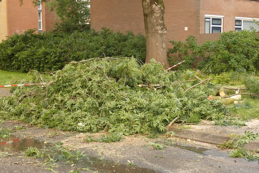 Brandweer handen vol aan stormschade