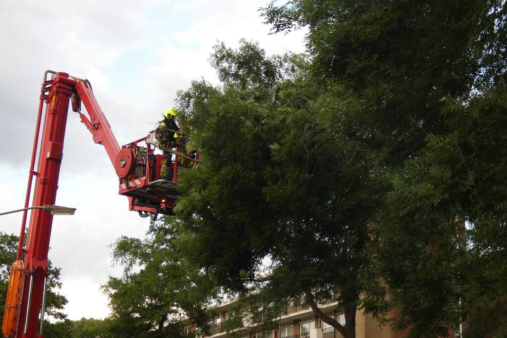 Brandweer handen vol aan stormschade