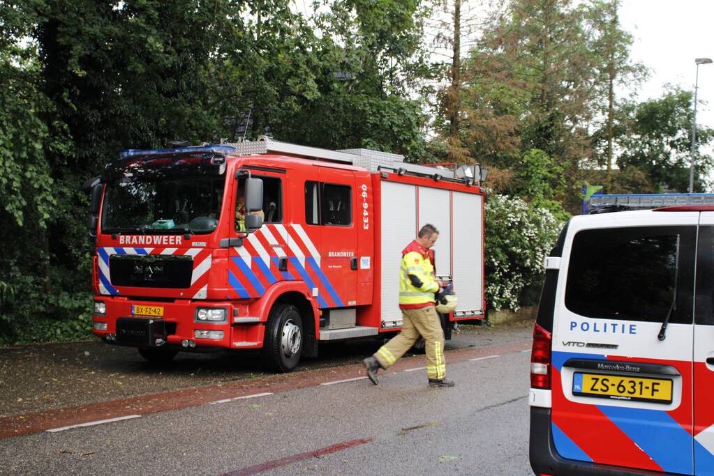 Takken afgebroken van boom door windvlaag