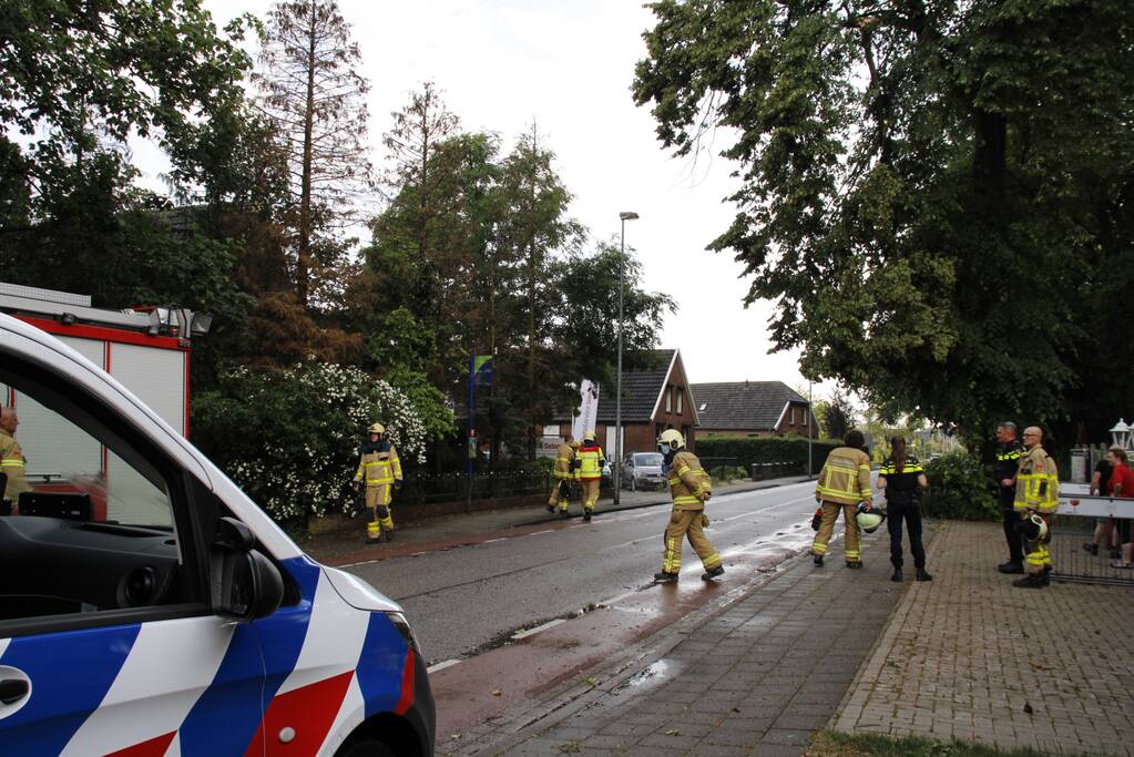 Takken afgebroken van boom door windvlaag