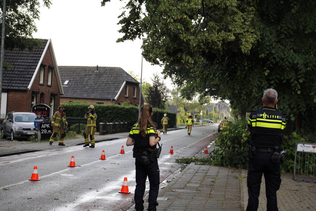 Takken afgebroken van boom door windvlaag
