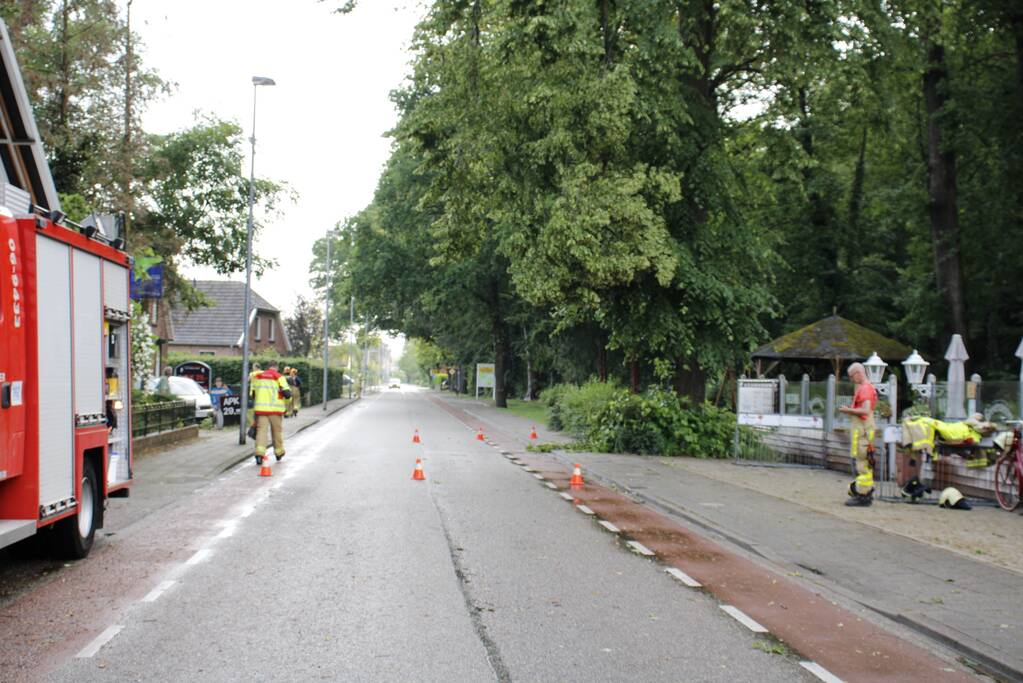Takken afgebroken van boom door windvlaag