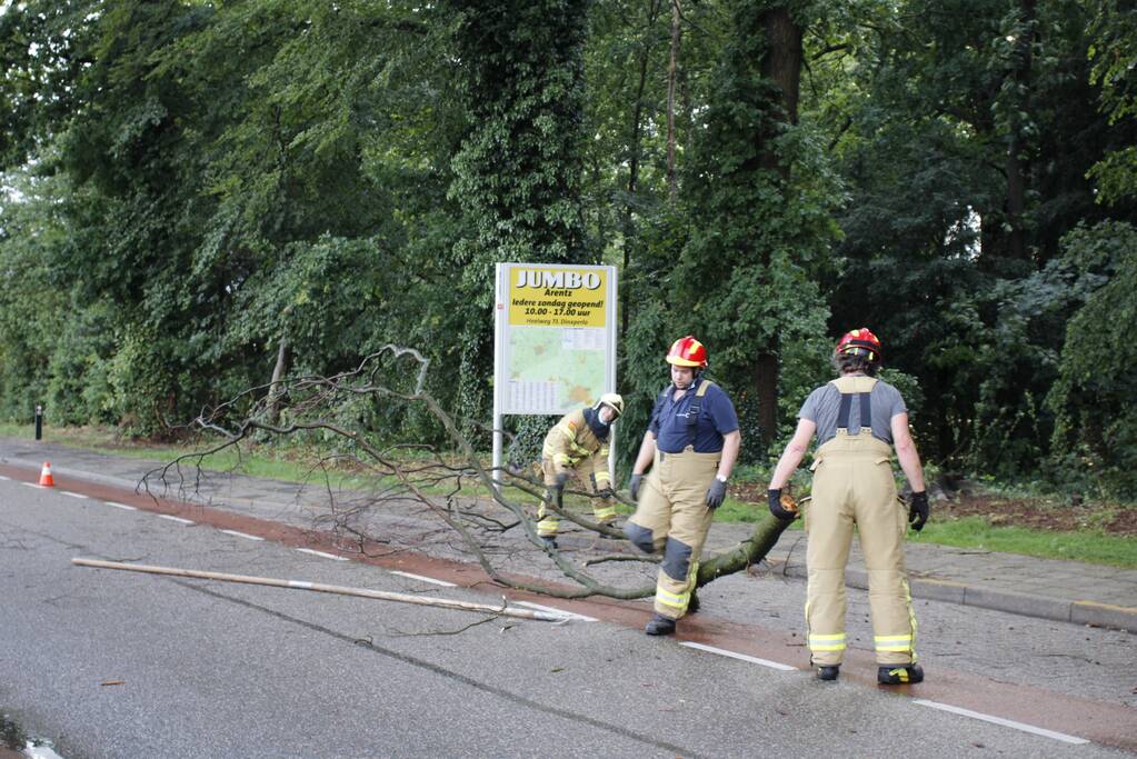 Takken afgebroken van boom door windvlaag