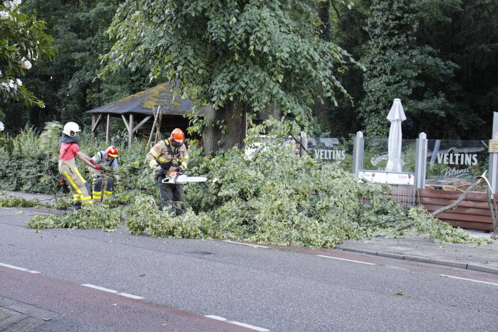 Takken afgebroken van boom door windvlaag