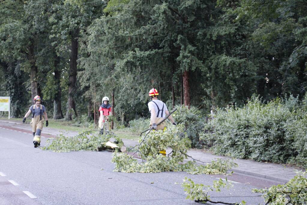 Takken afgebroken van boom door windvlaag