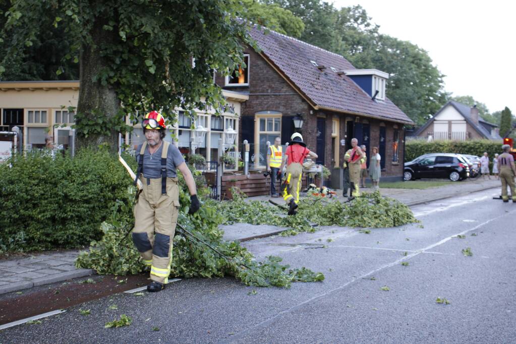 Takken afgebroken van boom door windvlaag
