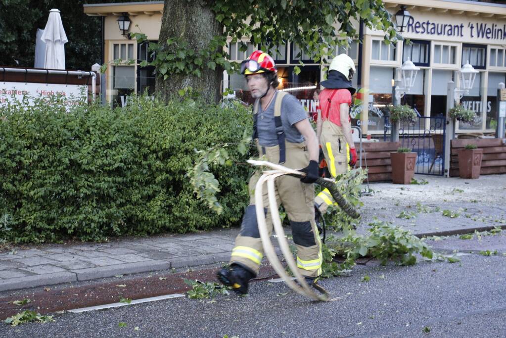 Takken afgebroken van boom door windvlaag
