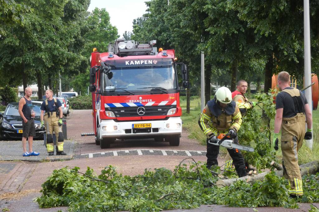Brandweer zaagt omgevallen boom in stukken