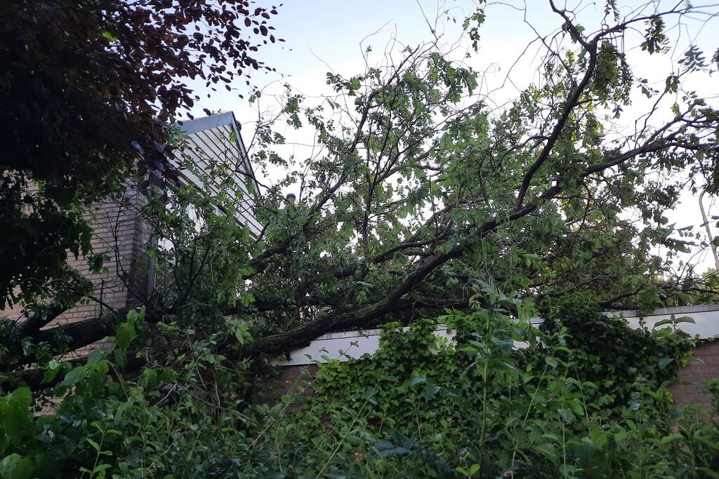 Boom valt op drie woningen door windvlaag