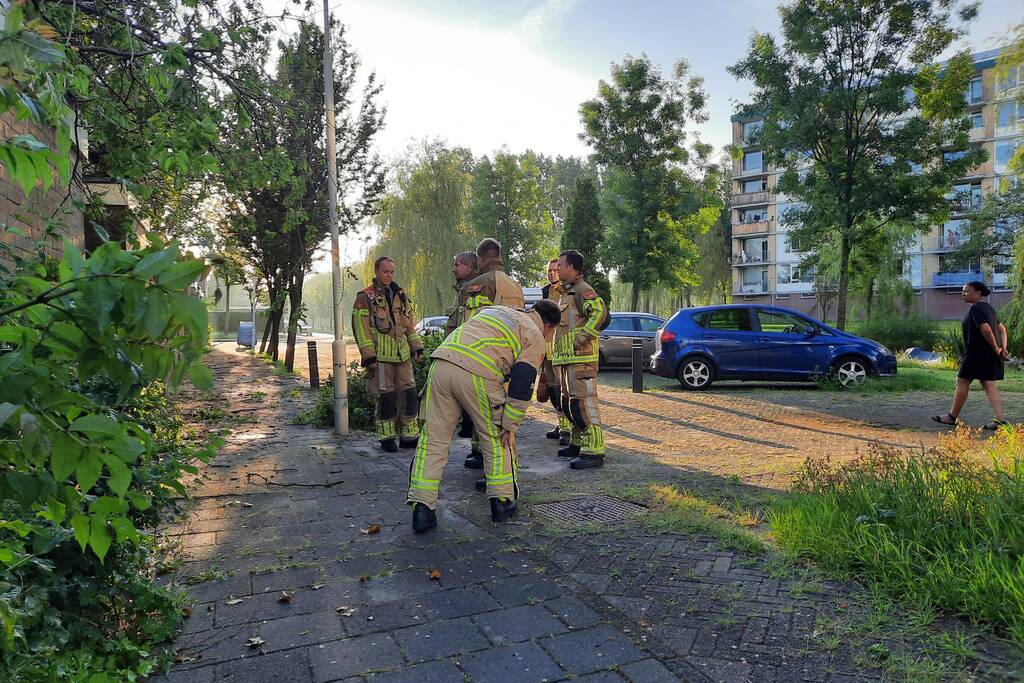 Boom valt op drie woningen door windvlaag
