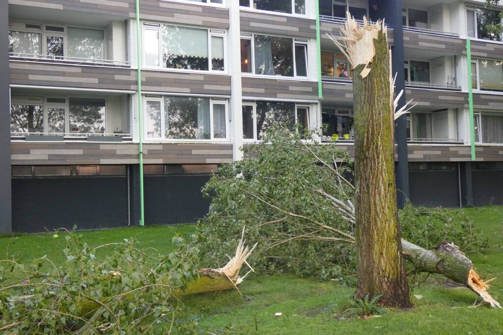 Boom valt om naast appartementencomplex