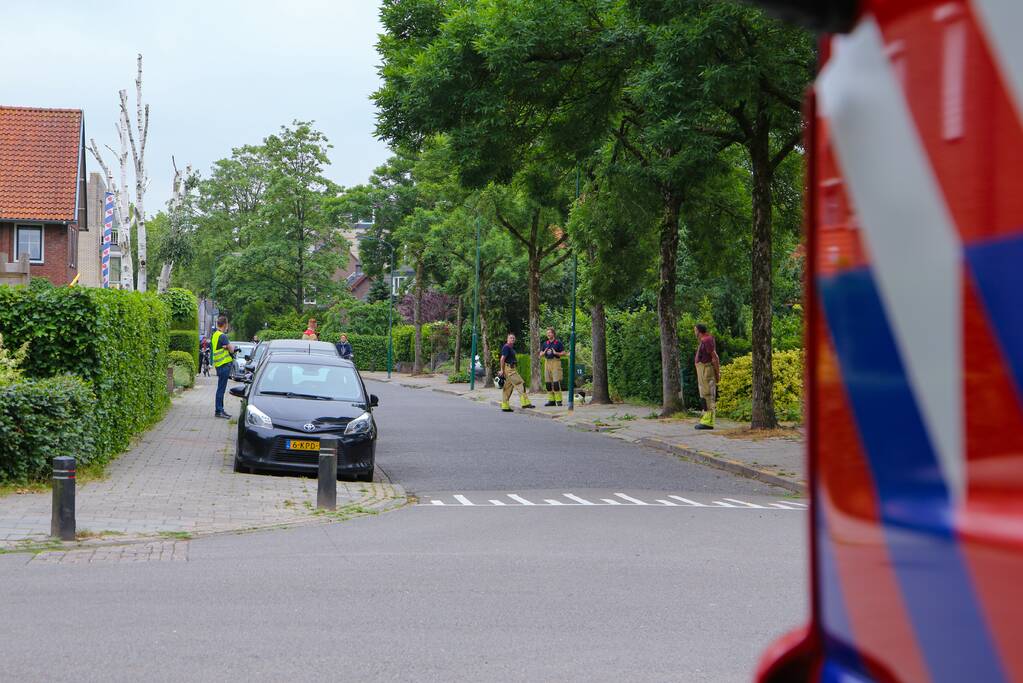 Brandweer verwijdert loshangende tak van boom