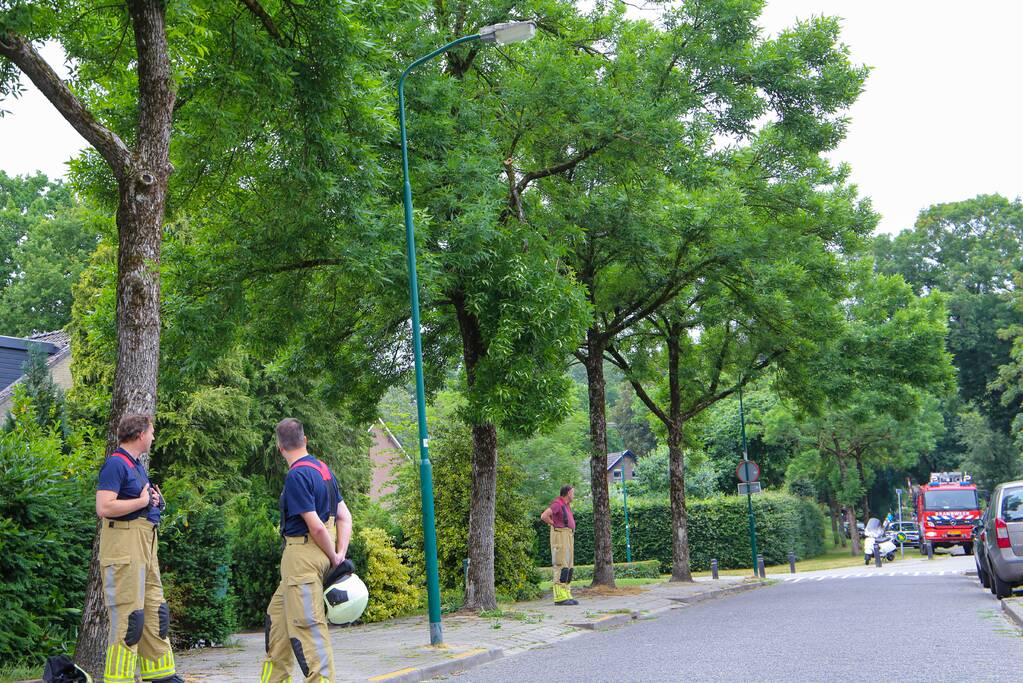 Brandweer verwijdert loshangende tak van boom
