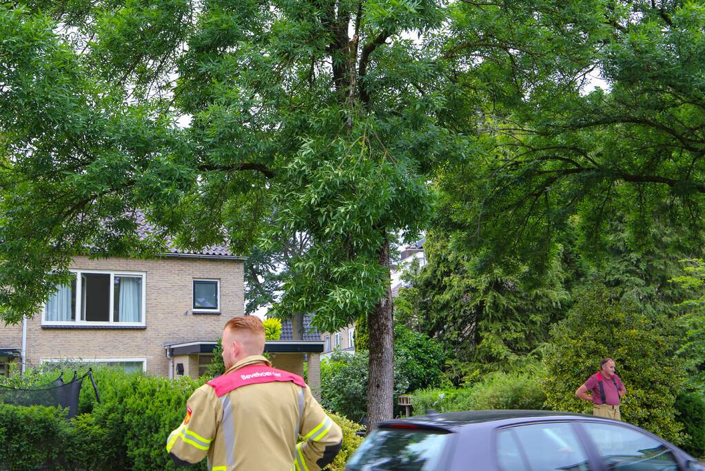 Brandweer verwijdert loshangende tak van boom