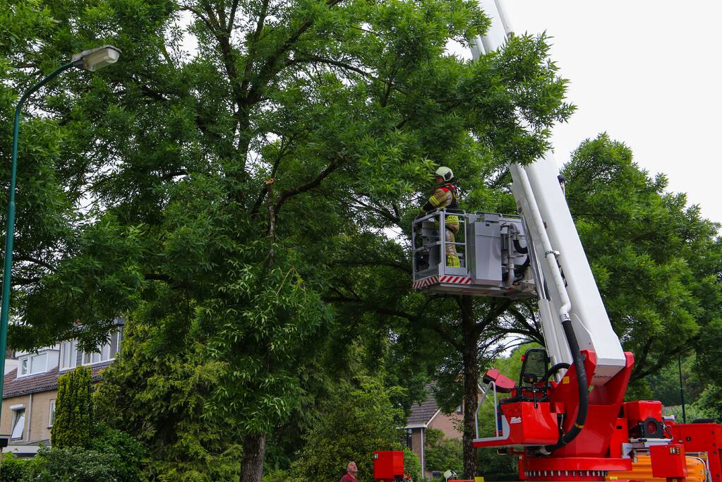 Brandweer verwijdert loshangende tak van boom