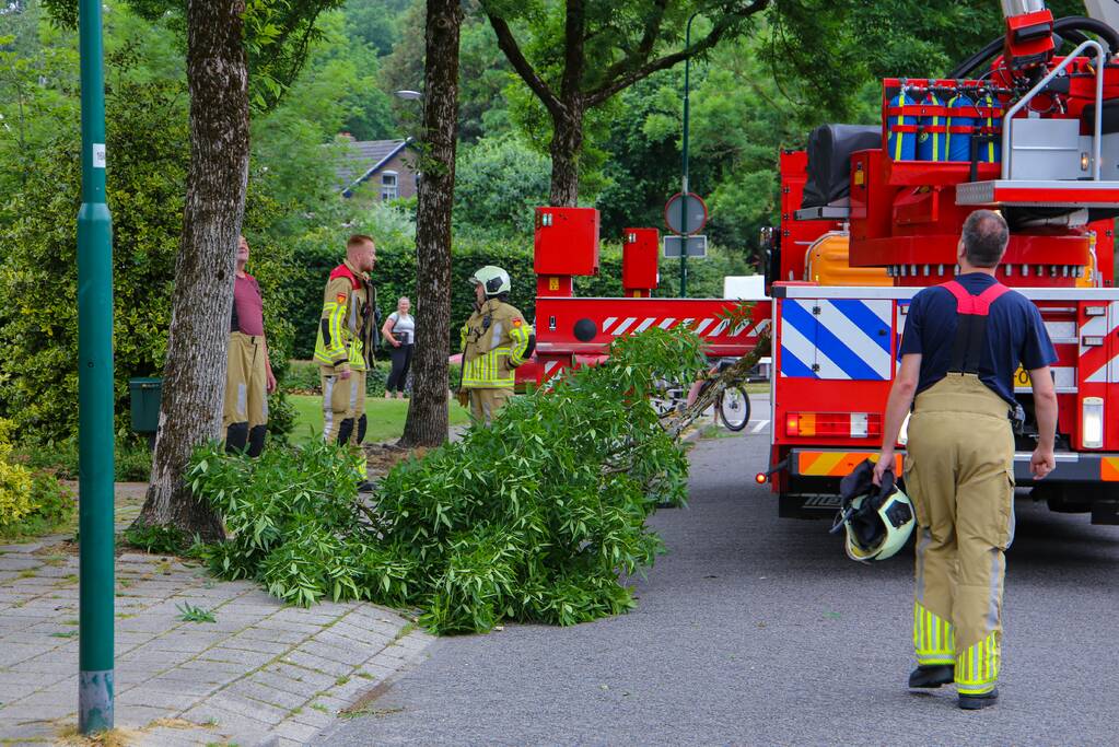 Brandweer verwijdert loshangende tak van boom