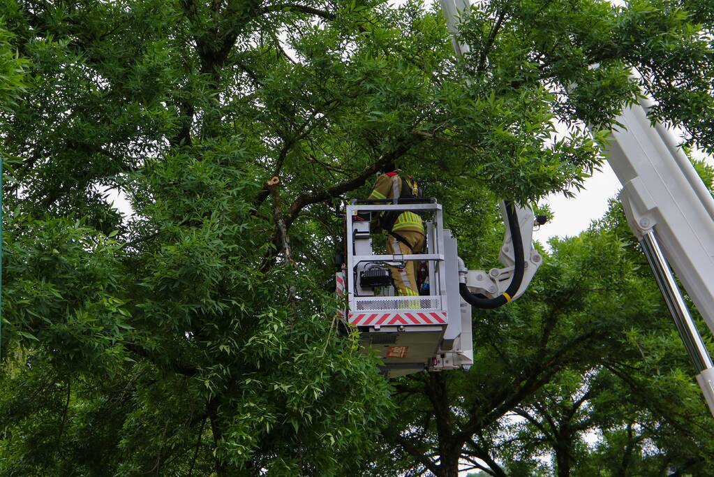 Brandweer verwijdert loshangende tak van boom