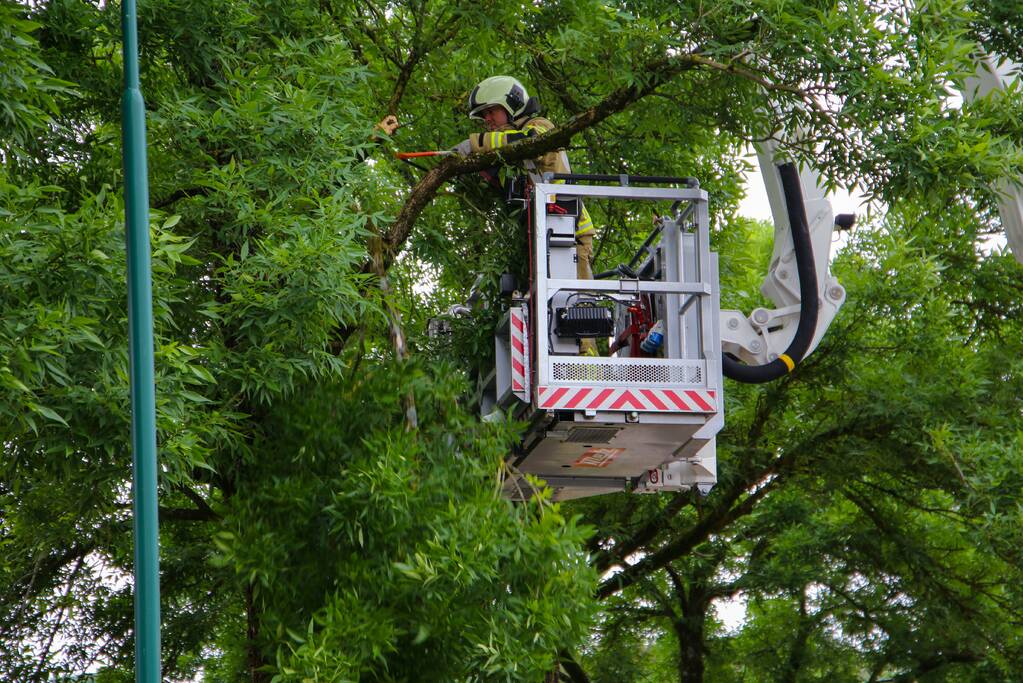 Brandweer verwijdert loshangende tak van boom