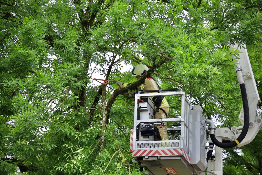 Brandweer verwijdert loshangende tak van boom