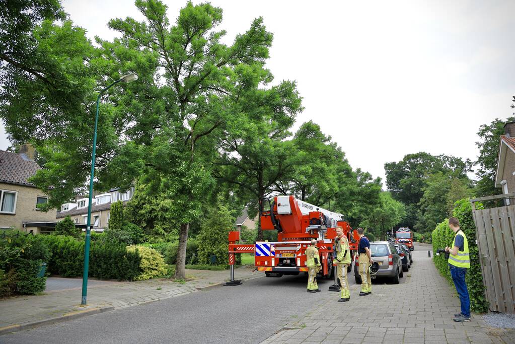 Brandweer verwijdert loshangende tak van boom