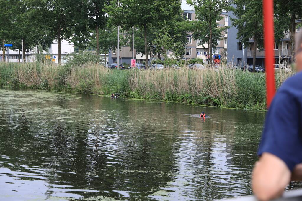 Brandweer haalt zwaantjes uit kanaal