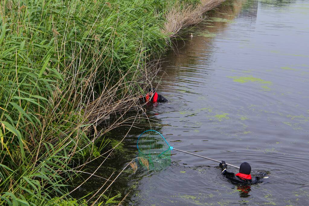 Brandweer haalt zwaantjes uit kanaal