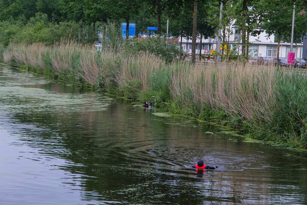 Brandweer haalt zwaantjes uit kanaal