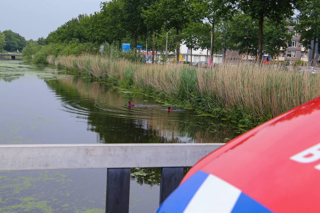 Brandweer haalt zwaantjes uit kanaal