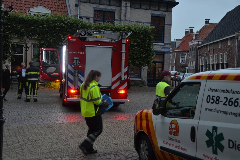 Katten gered bij woningbrand