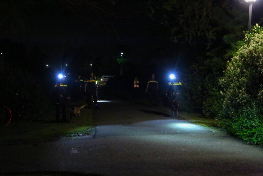 Mobiele Eenheid veegt park in Corlaer