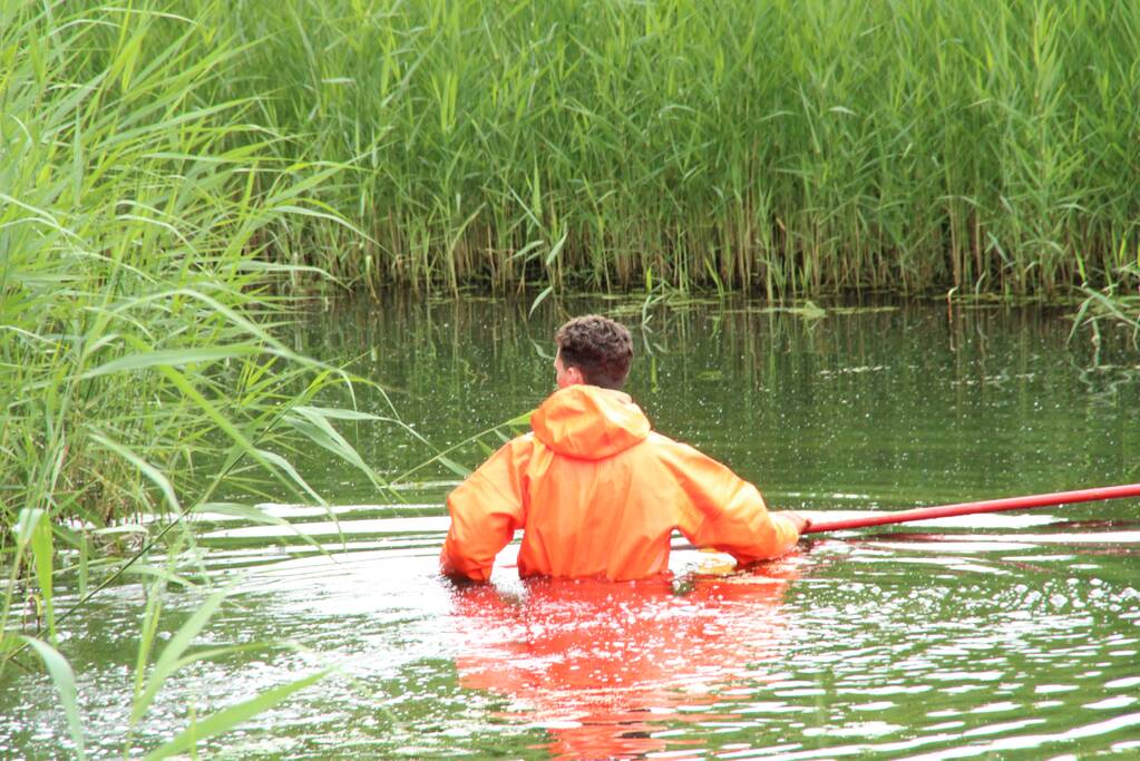Reddingsactie brandweer voor baby-eendjes