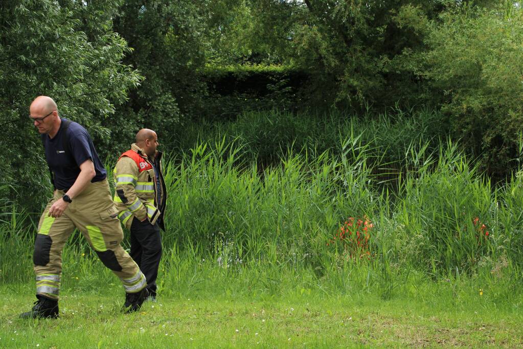 Reddingsactie brandweer voor baby-eendjes