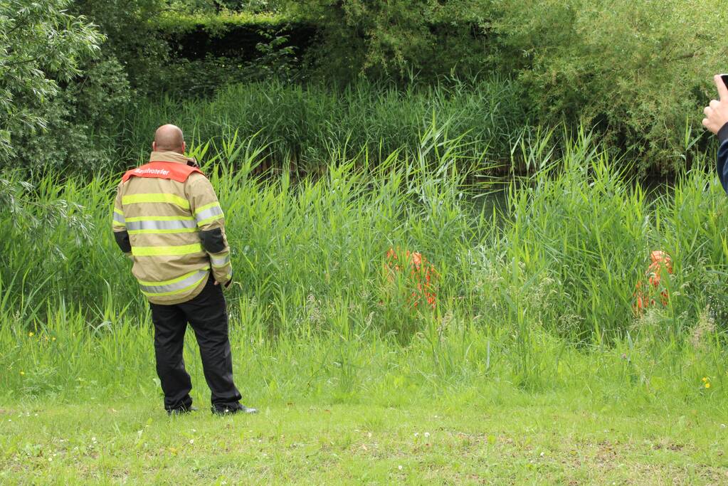 Reddingsactie brandweer voor baby-eendjes