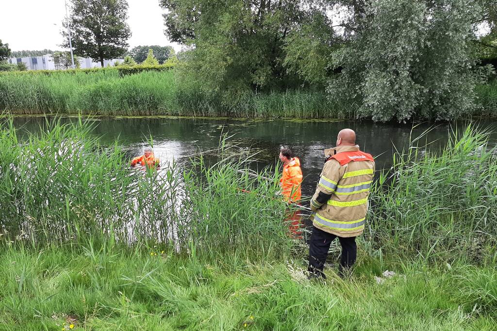 Reddingsactie brandweer voor baby-eendjes