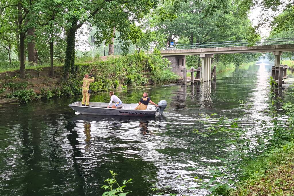 Brandweer bevrijdt vastzittende uil uit benarde positie