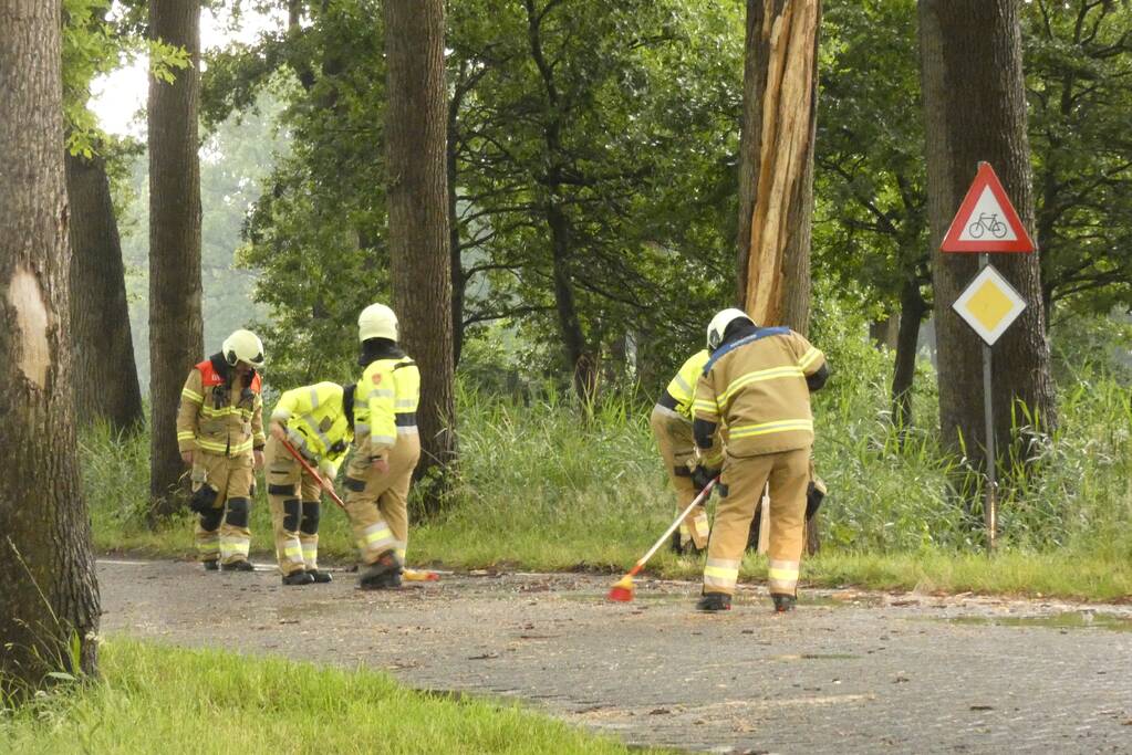 Bliksem ingeslagen in boom