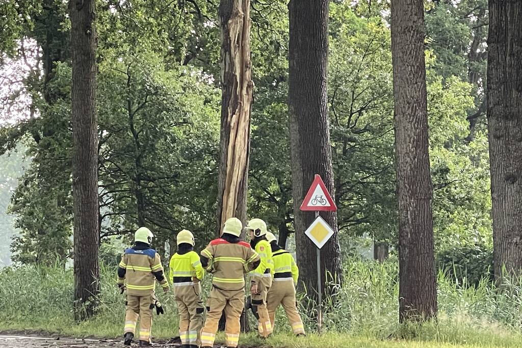 Bliksem ingeslagen in boom
