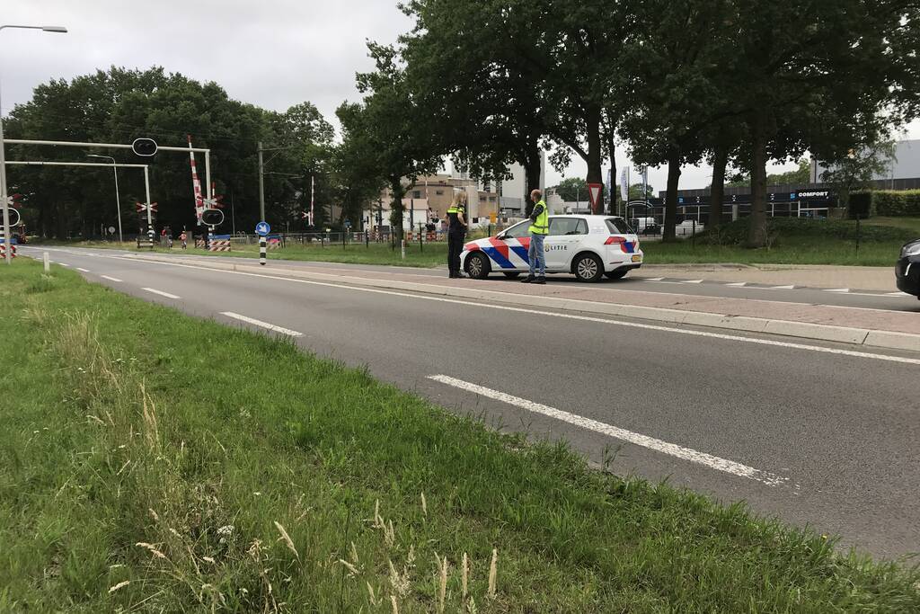 Hond overleden na aanrijding met vrachtwagen
