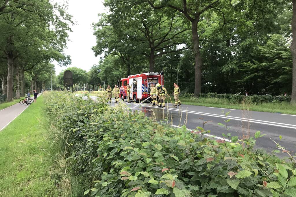 Hond overleden na aanrijding met vrachtwagen