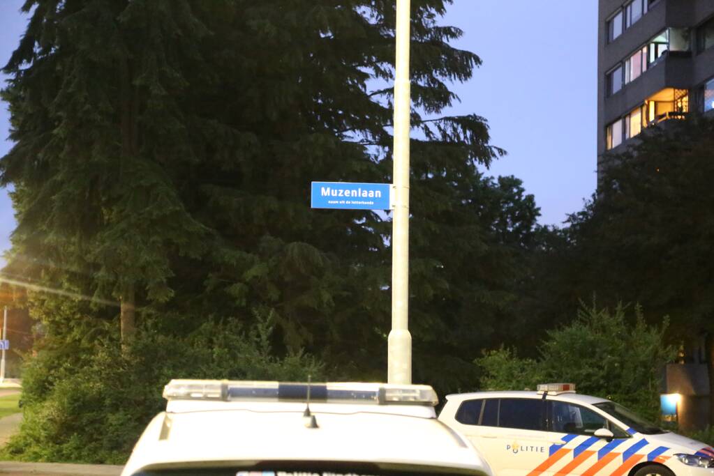 Vechtpartij eindigd in schietpartij